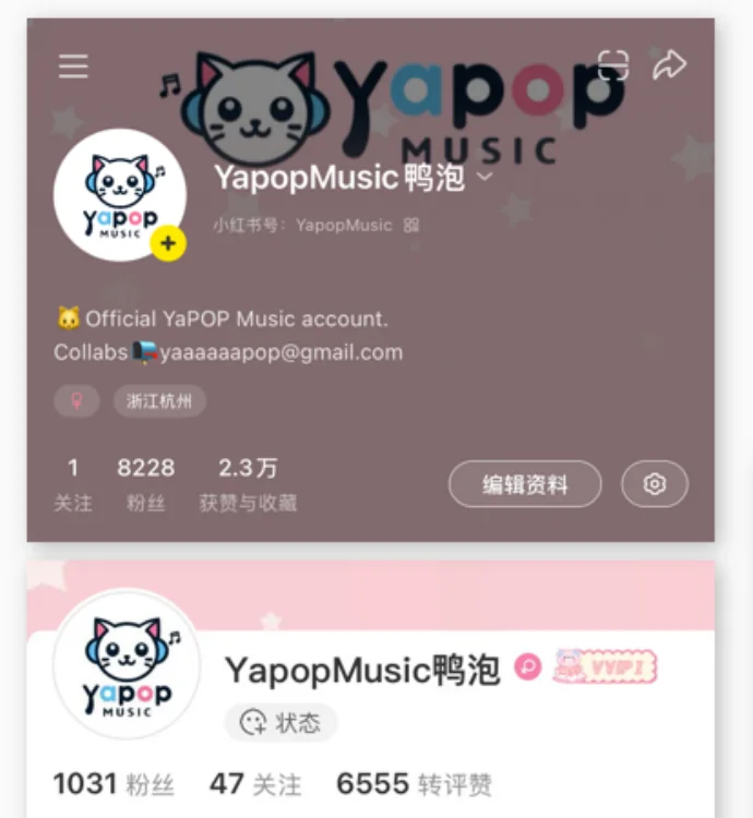 YAPOP Music cross-platform account growth